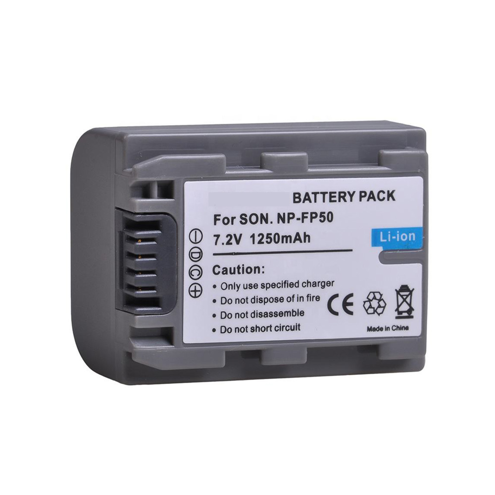 SONY-NP-FP50-1